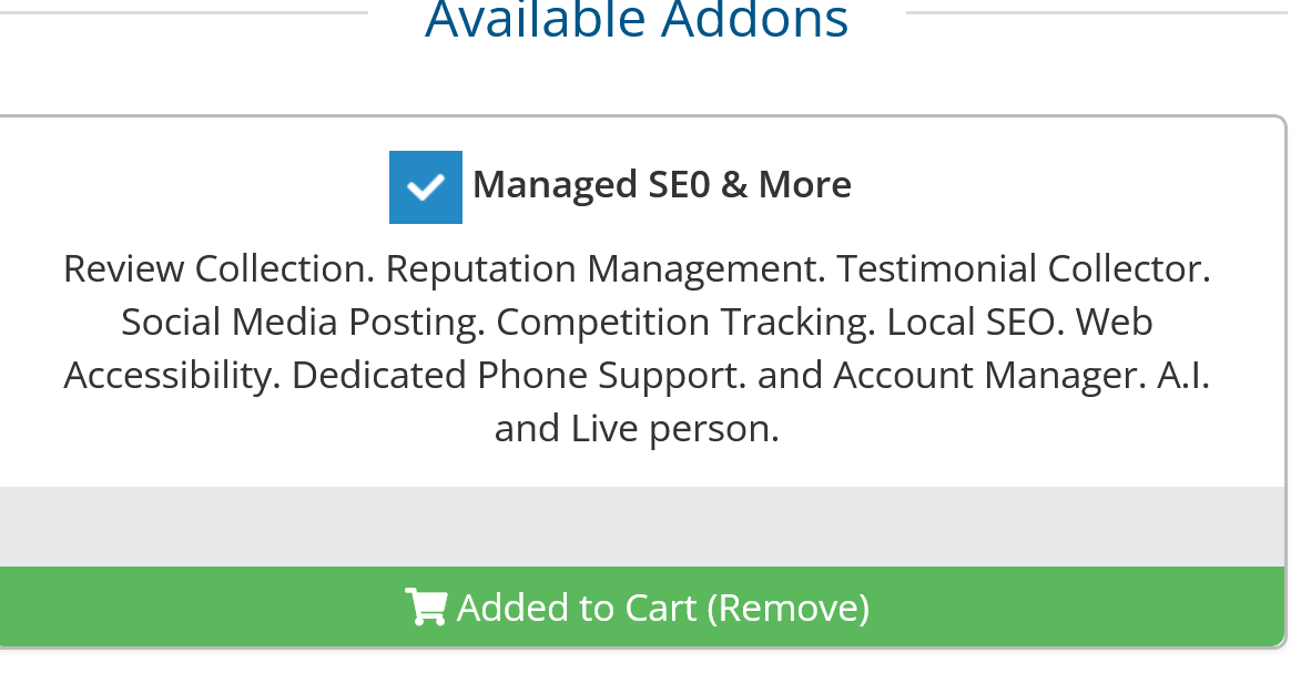 Managed SEO Add-On Screenshot DTS-NET Shopping Cart