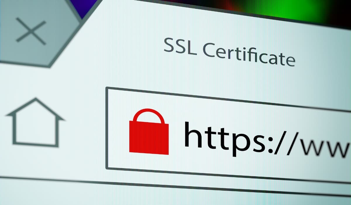 secure https url typed in browser address bar